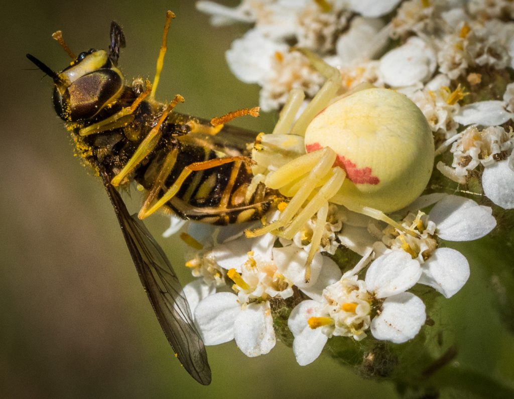 Not A Friendly Hug - Randy Bryan